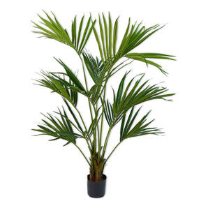 Palm Plant - 152 CM/Green