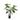 Alocasia Plant - 120 cm