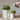 Base Pot w Plate - White - D17.5
