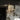 Coordinates Suspension 1 Ceiling Lamp - Anodized Champagne