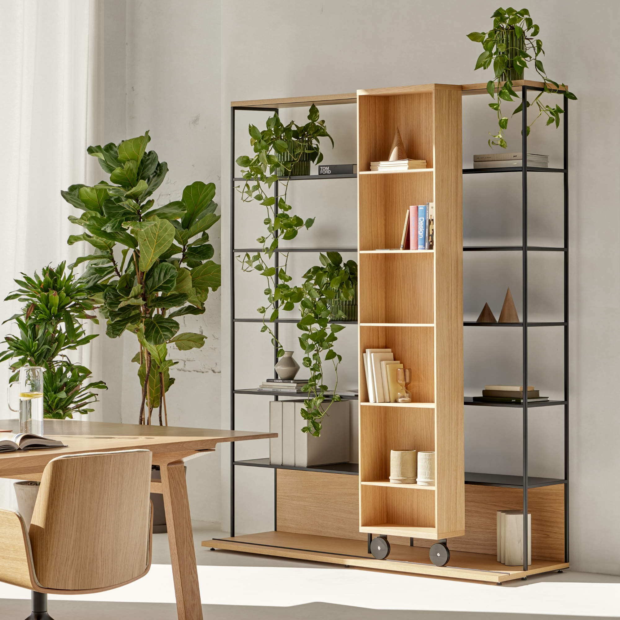 Bookcases & Shelves