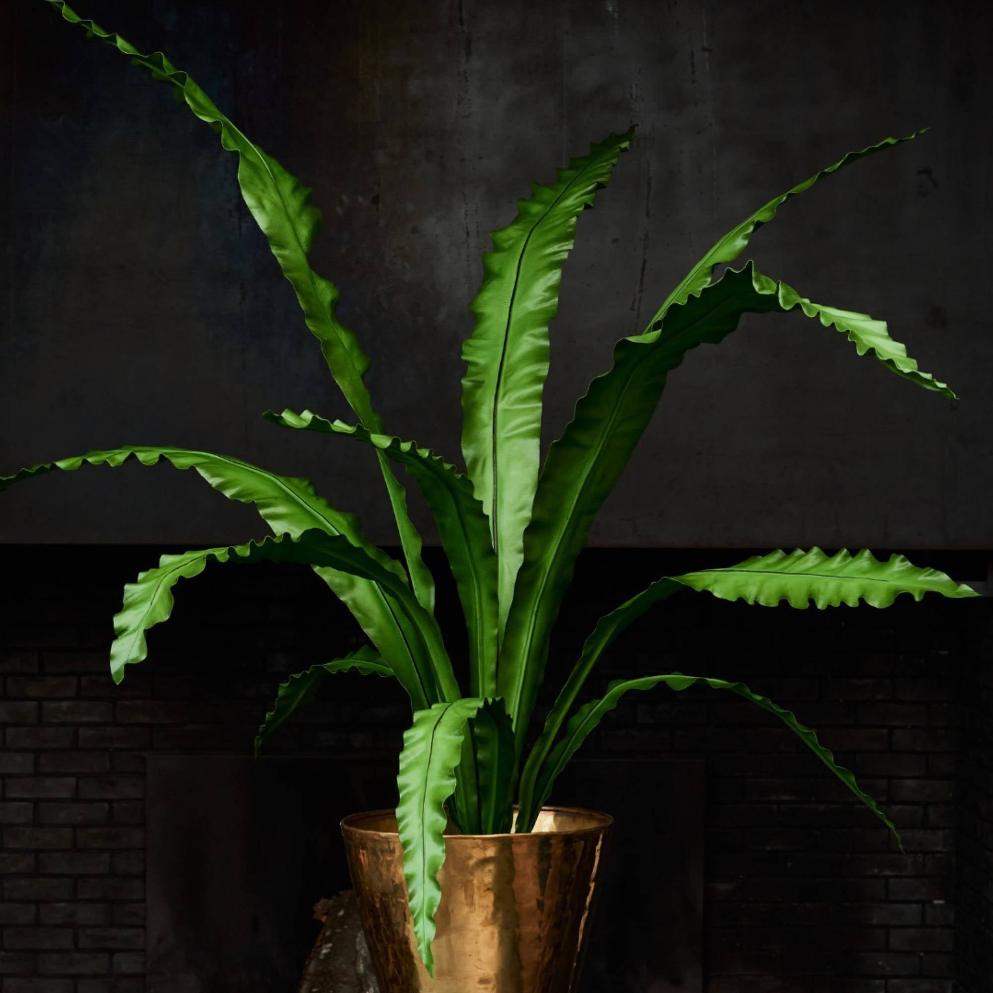 Artificial Plants
