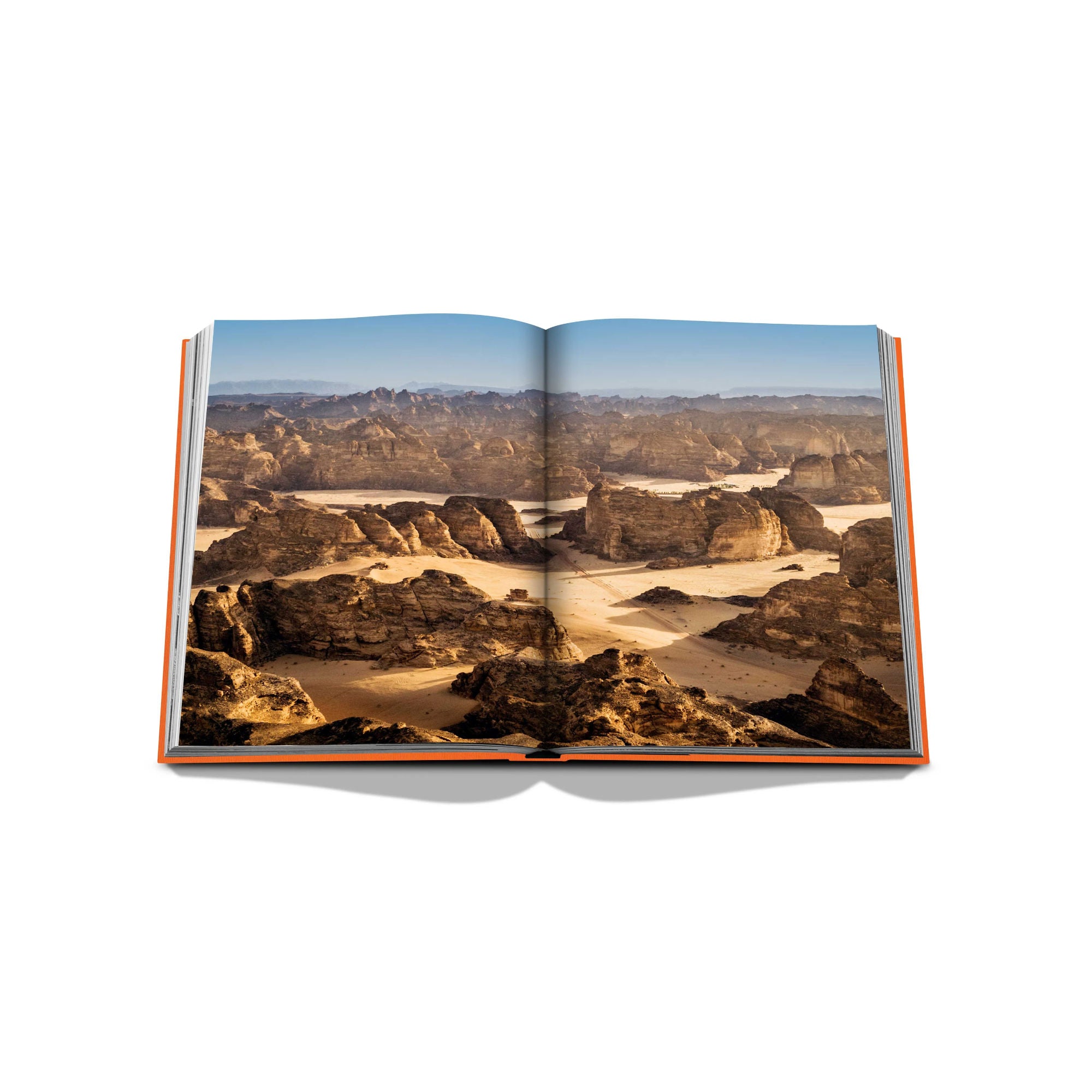 Alula Ever-6