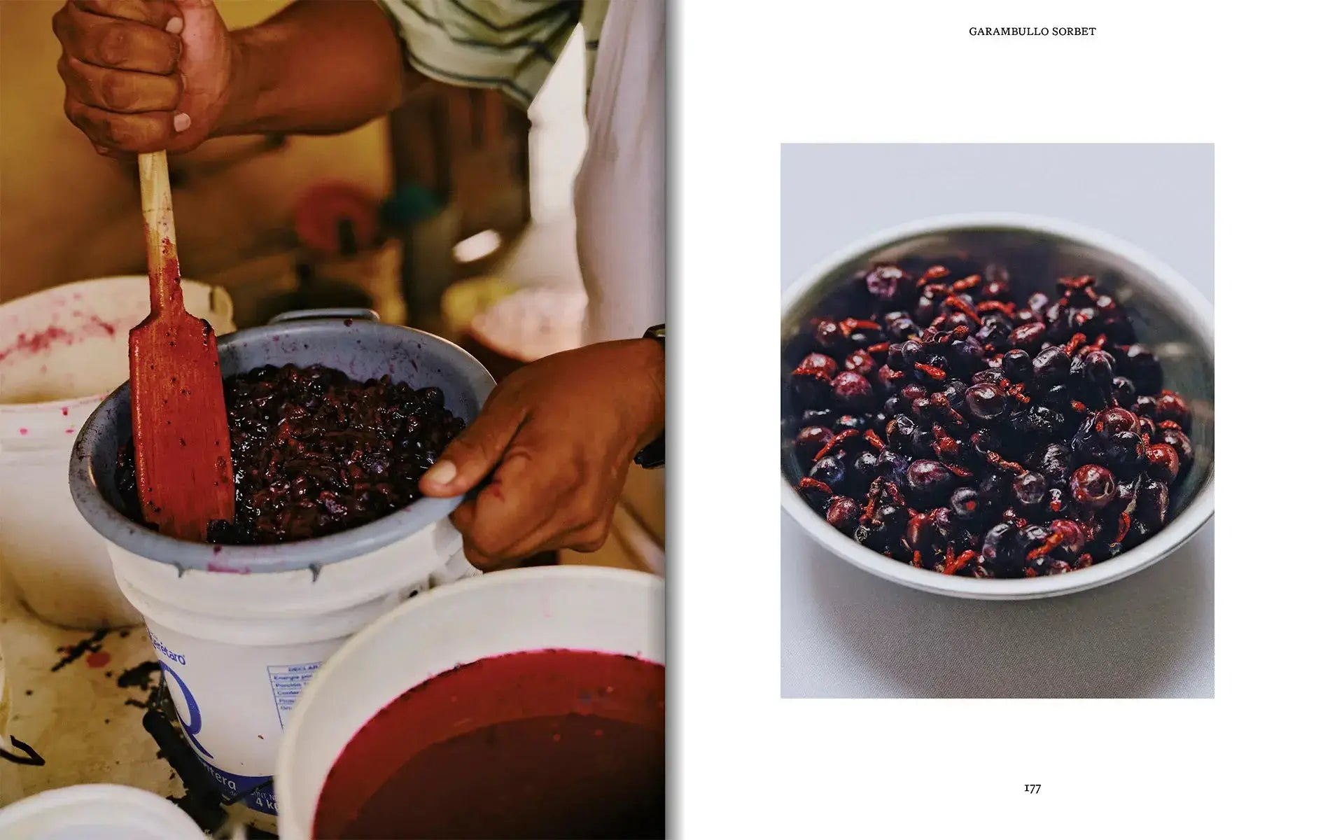 El Bajio: Recipes and Wanderings Through Mexico’s Heartland-9