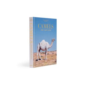 Camels From Saudi Arabia (Classic)