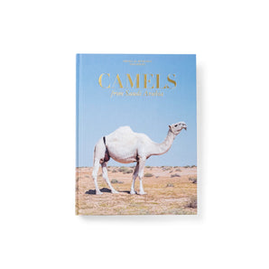 Camels From Saudi Arabia (Classic)