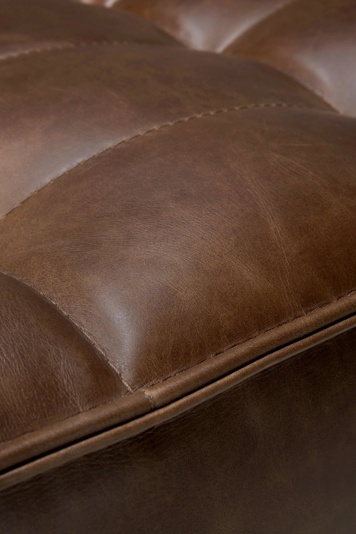 N701 20289 Armchair - Aniline Leather (Chestnut)-4