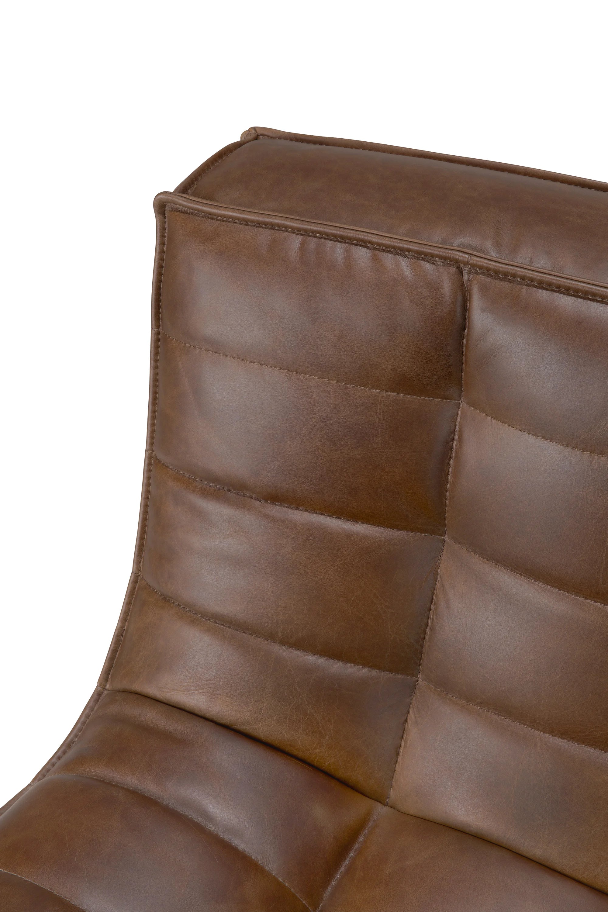N701 20289 Armchair - Aniline Leather (Chestnut)-5