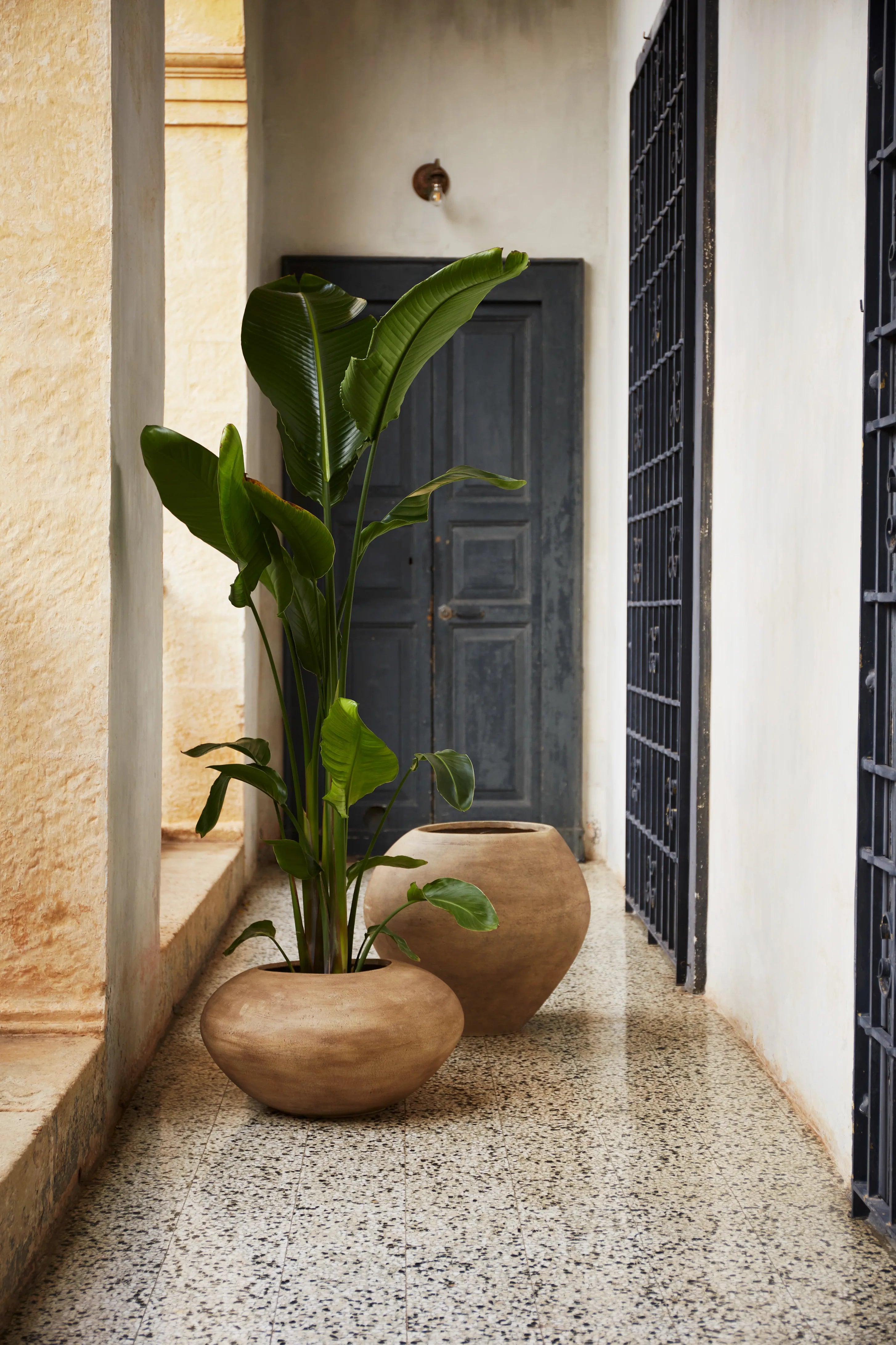 Dodu Pot - Low/Brown-2