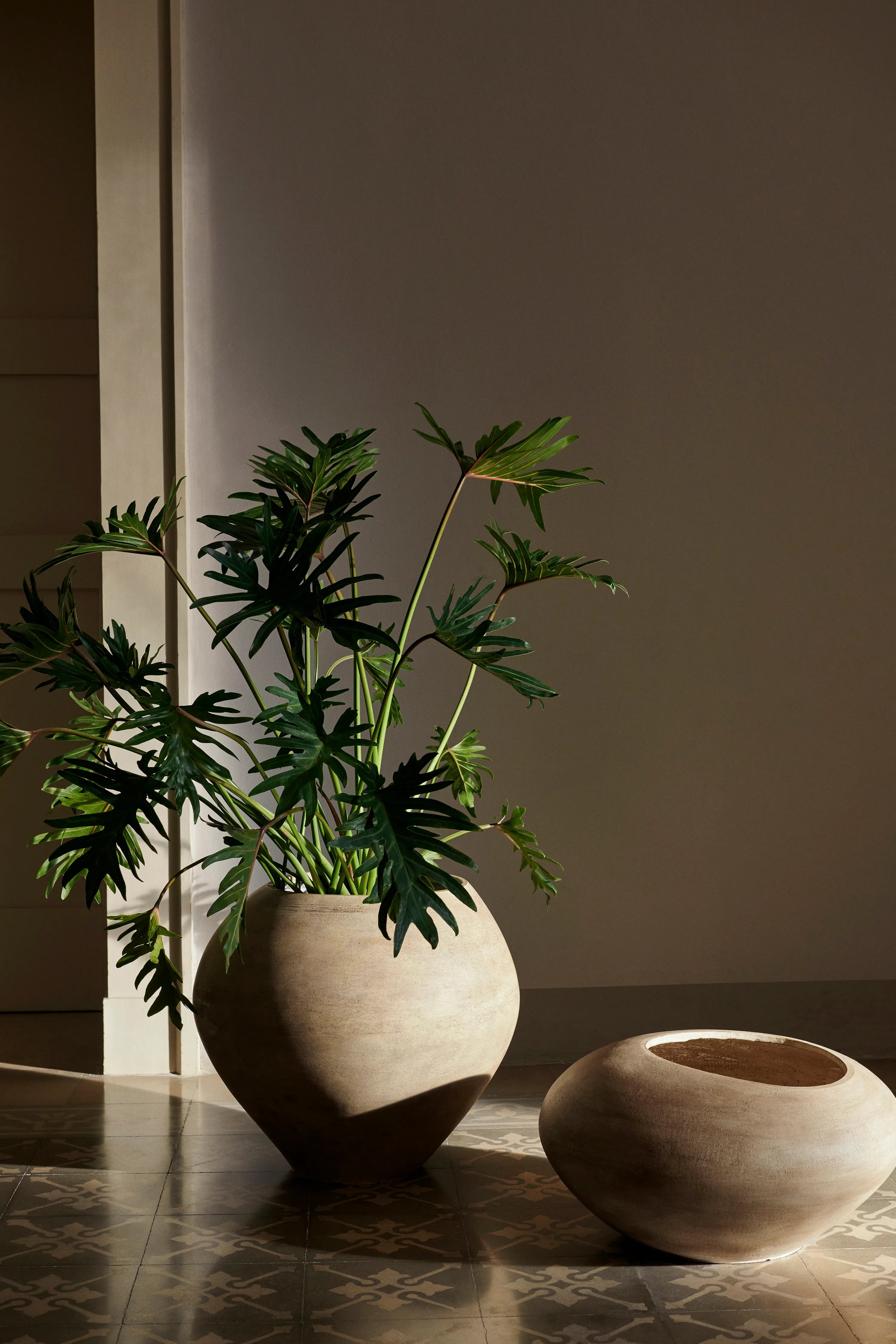 Dodu Pot - Low/Brown-3
