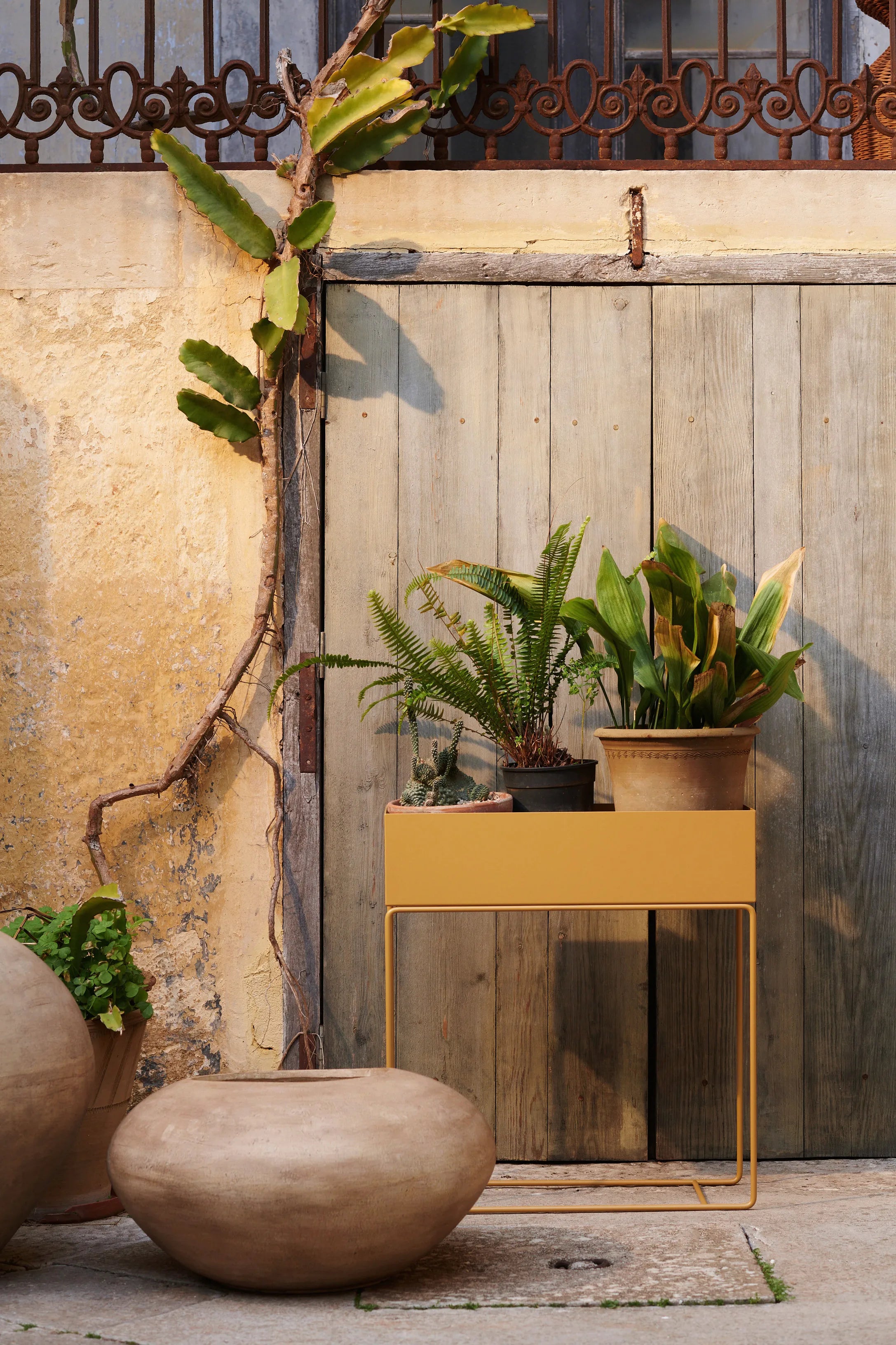 Dodu Pot - Low/Brown-4