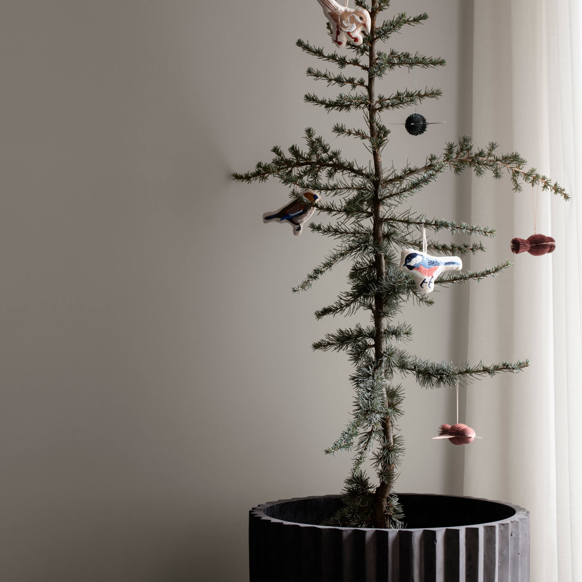 Fiber Planter Pot - Charcoal/Fiberclay (Set of 2)