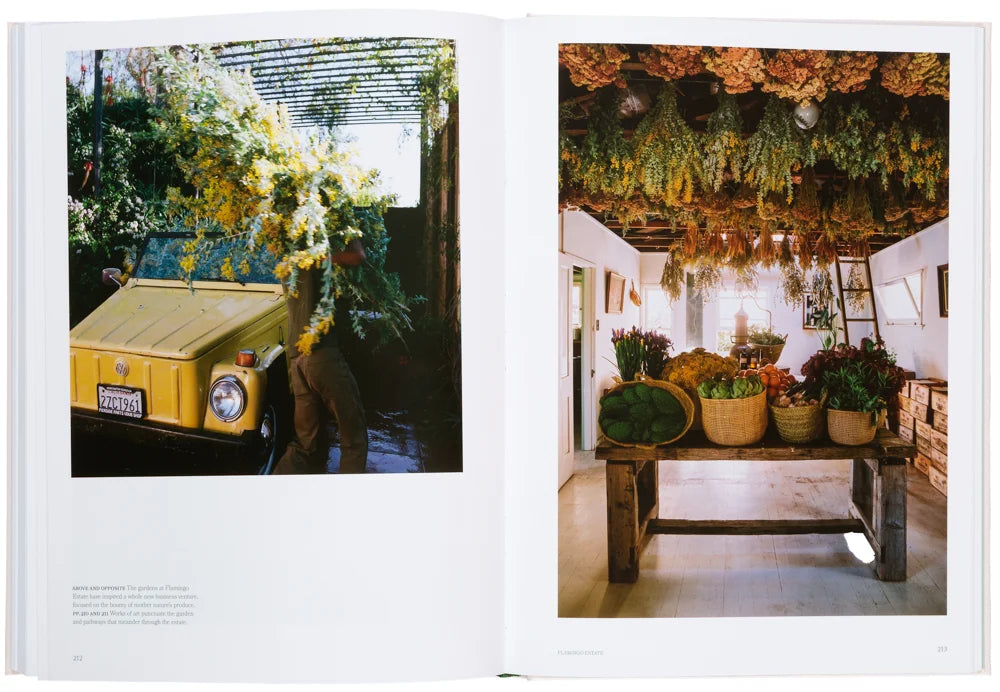 The Avant Gardens-6