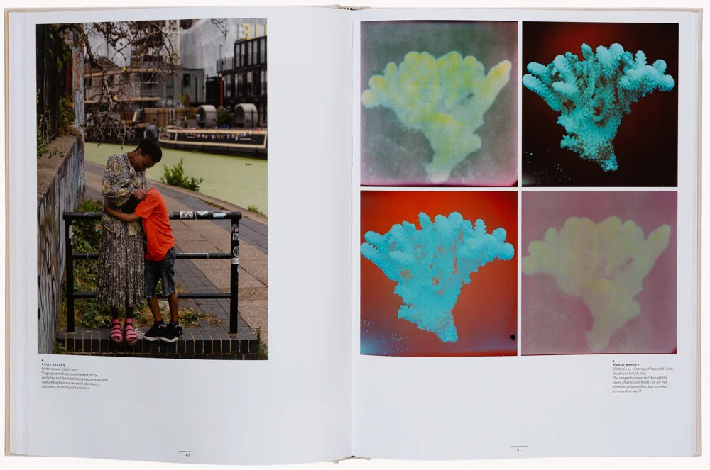 Collage-3