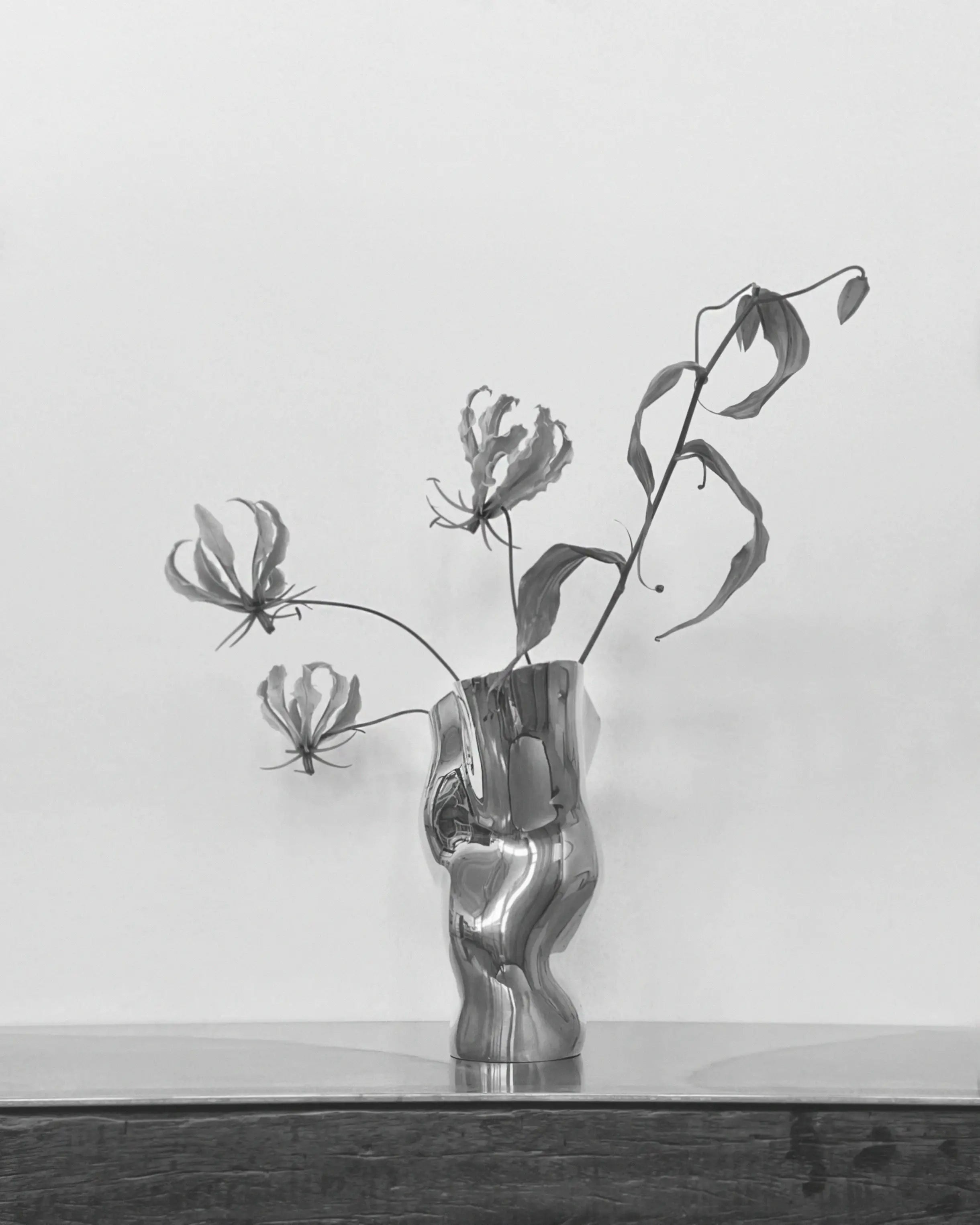 Ostrea 25 Vase - Titanium-6