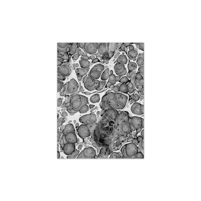 Petra Rug - A - 200x150