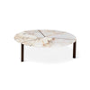 Joaquim 100 Coffee Table - Bronze/Shiny Patagonia Marble