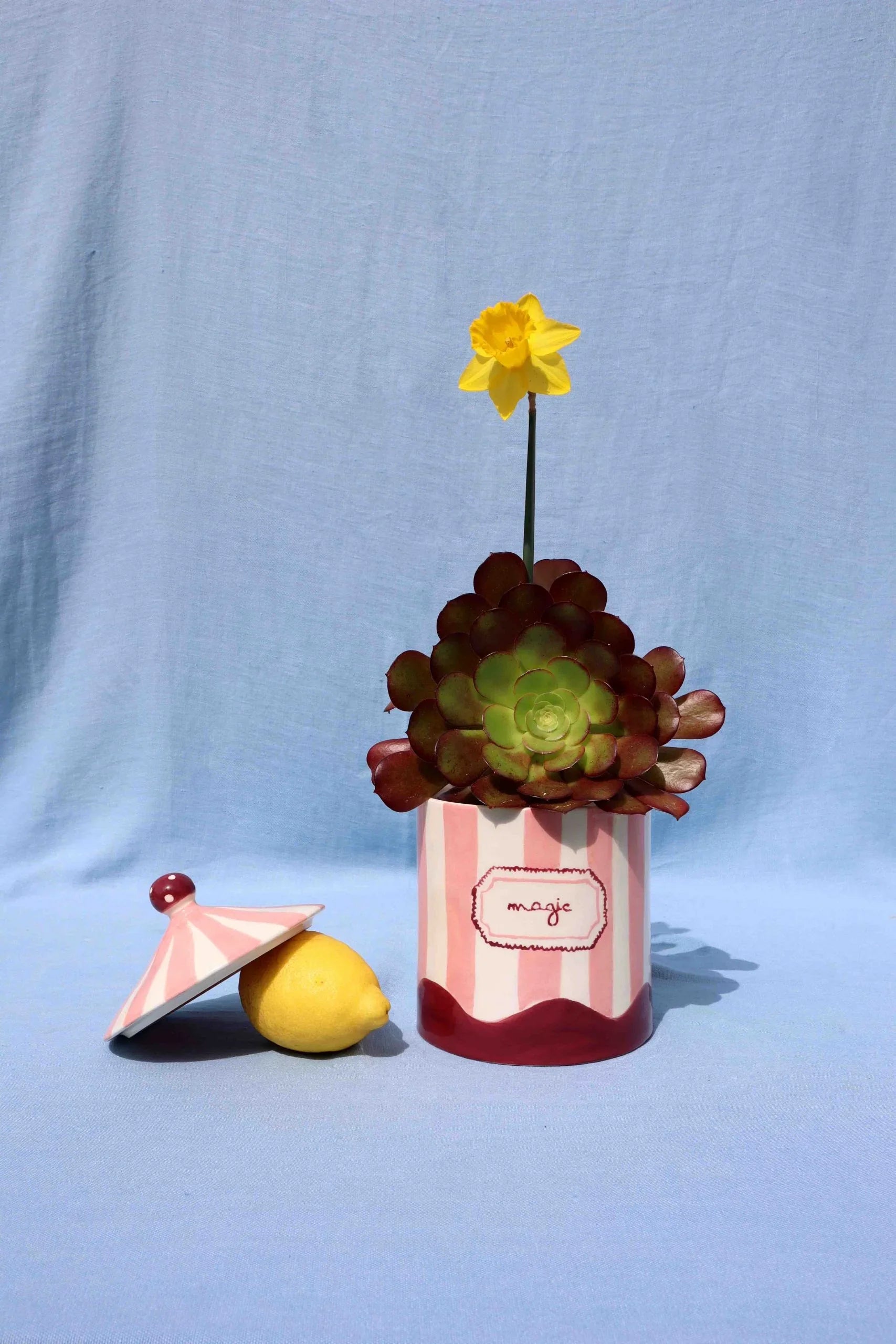 Magic Box - Pink-2