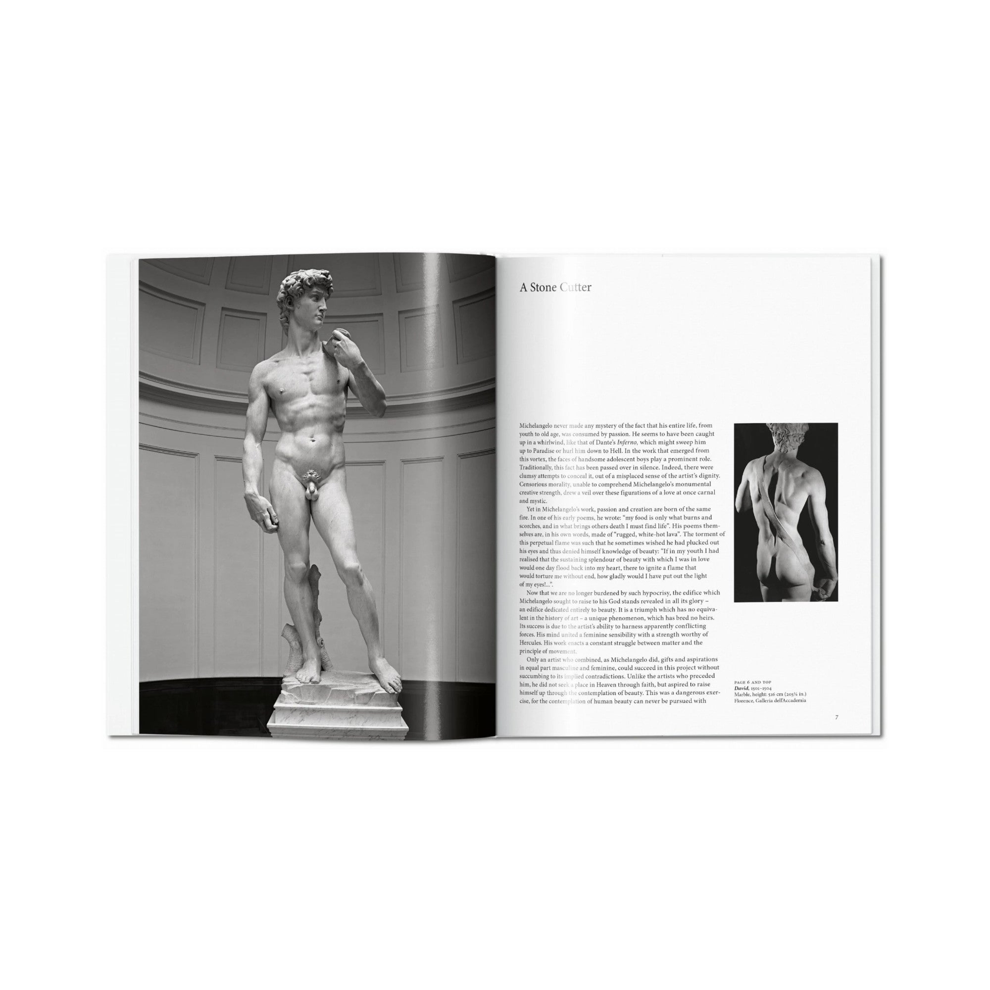 Michelangelo
