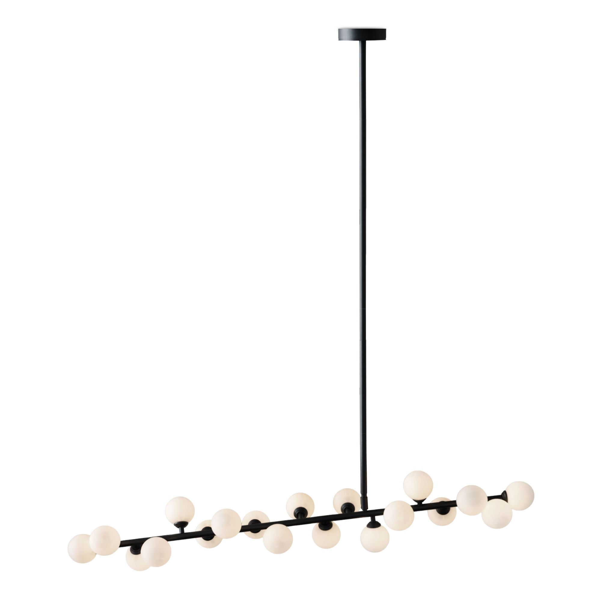 Mimosa P05 Pendant Lamp - Black