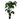 نبات مونسترا - 210 سم/أخضر