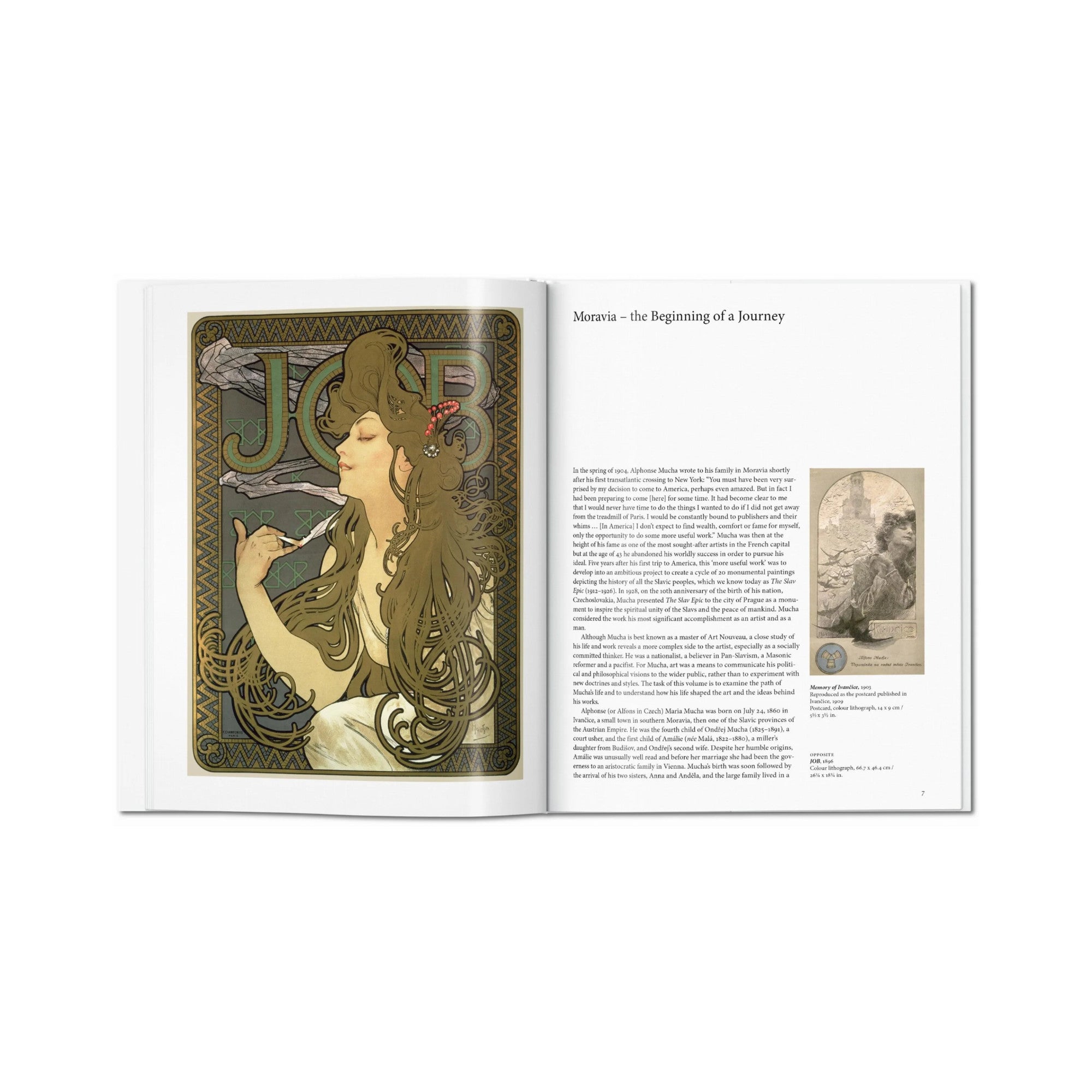 Mucha