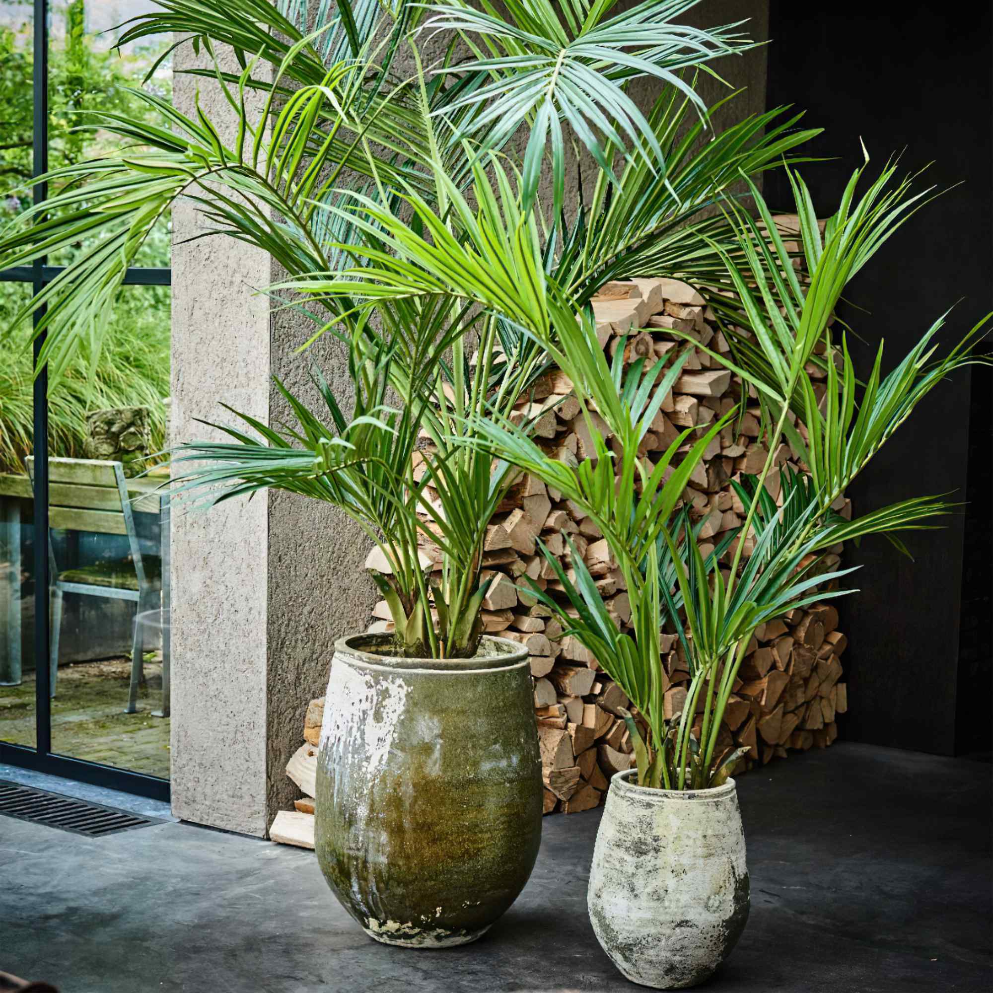 Palm Plant - 152 CM/Green-2
