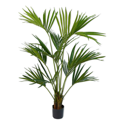 Palm Plant - 152 CM/Green