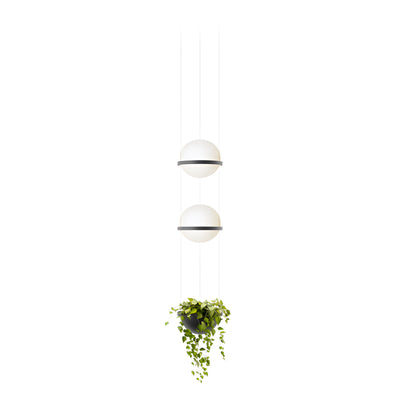 Palma 3728 Pendant Lamp - Graphite