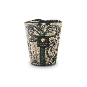 Sacred Trees Kani Scented Candle - 16cm