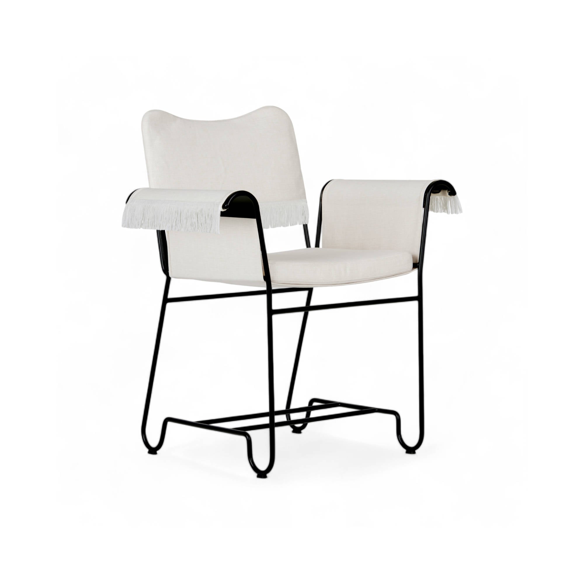 Tropique 10117793 with Fringes Outdoor Dining Chair - Classic Black/Fabric A (Leslie 006)-1