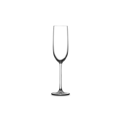 Vintage Champagne Glass - Clear (Set of 2)