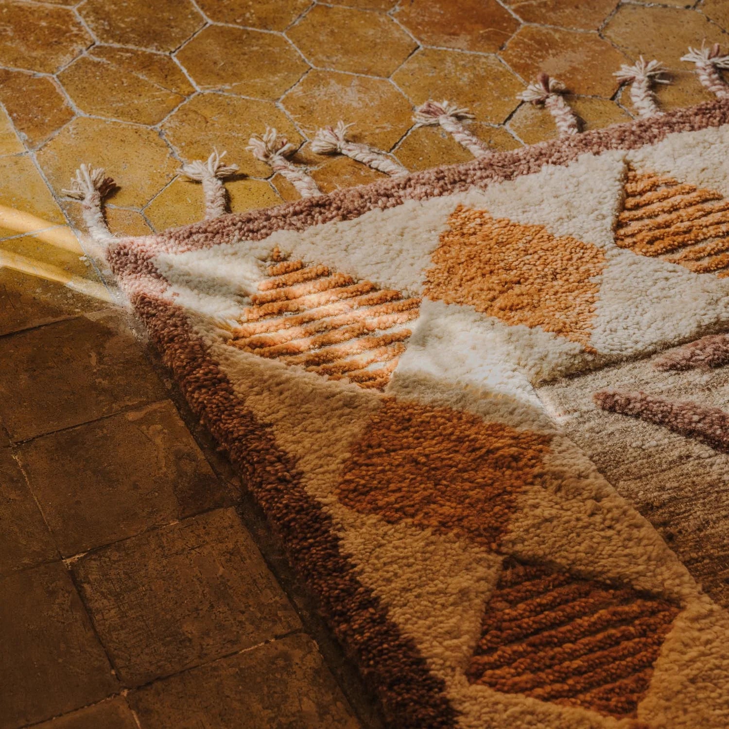 Wildcat Rug - Burnt Brown - 200x300-3