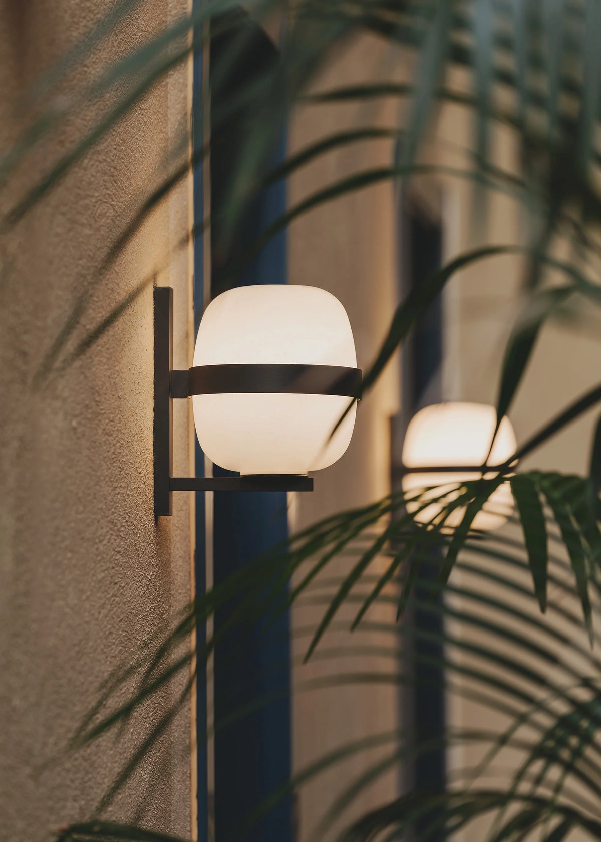 Wally Cestita Wall Lamp - Black-6