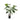 Alocasia Plant - 120 cm