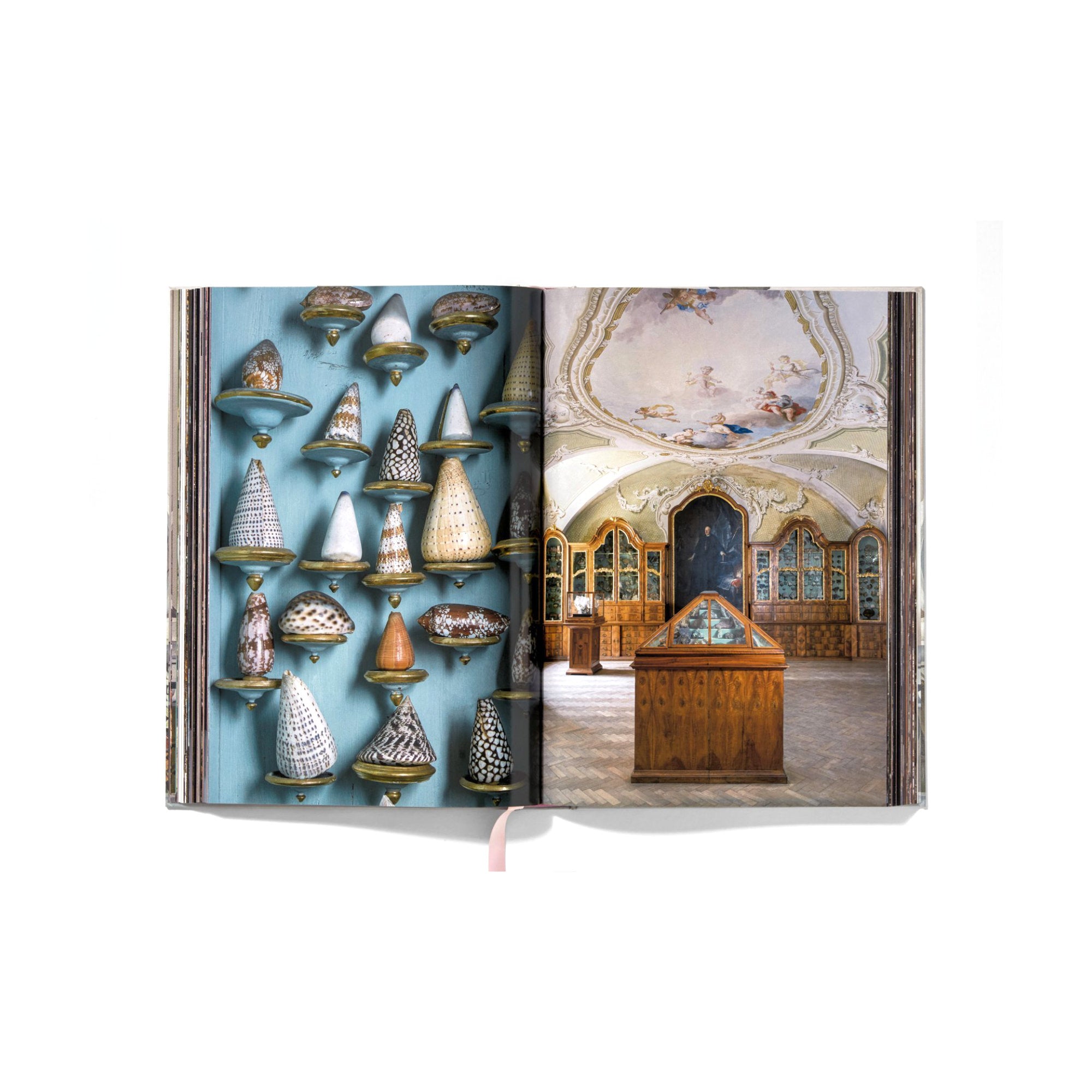 Massimo Listri. Cabinet of Curiosities-4