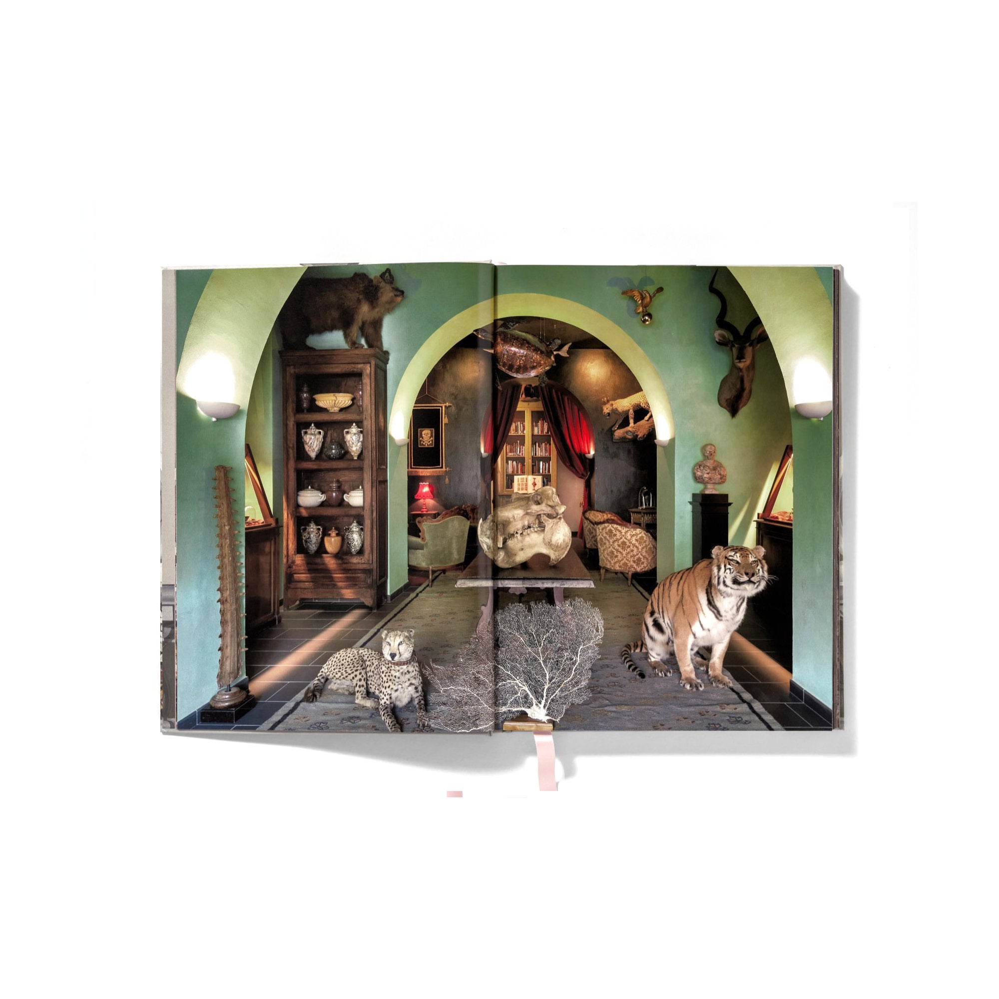 Massimo Listri. Cabinet of Curiosities-5