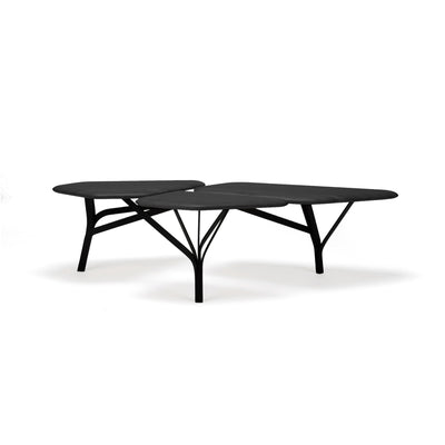 Borghese Coffee Table - Black Oak