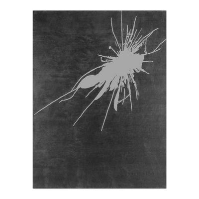Crack Rug - C - 400x300