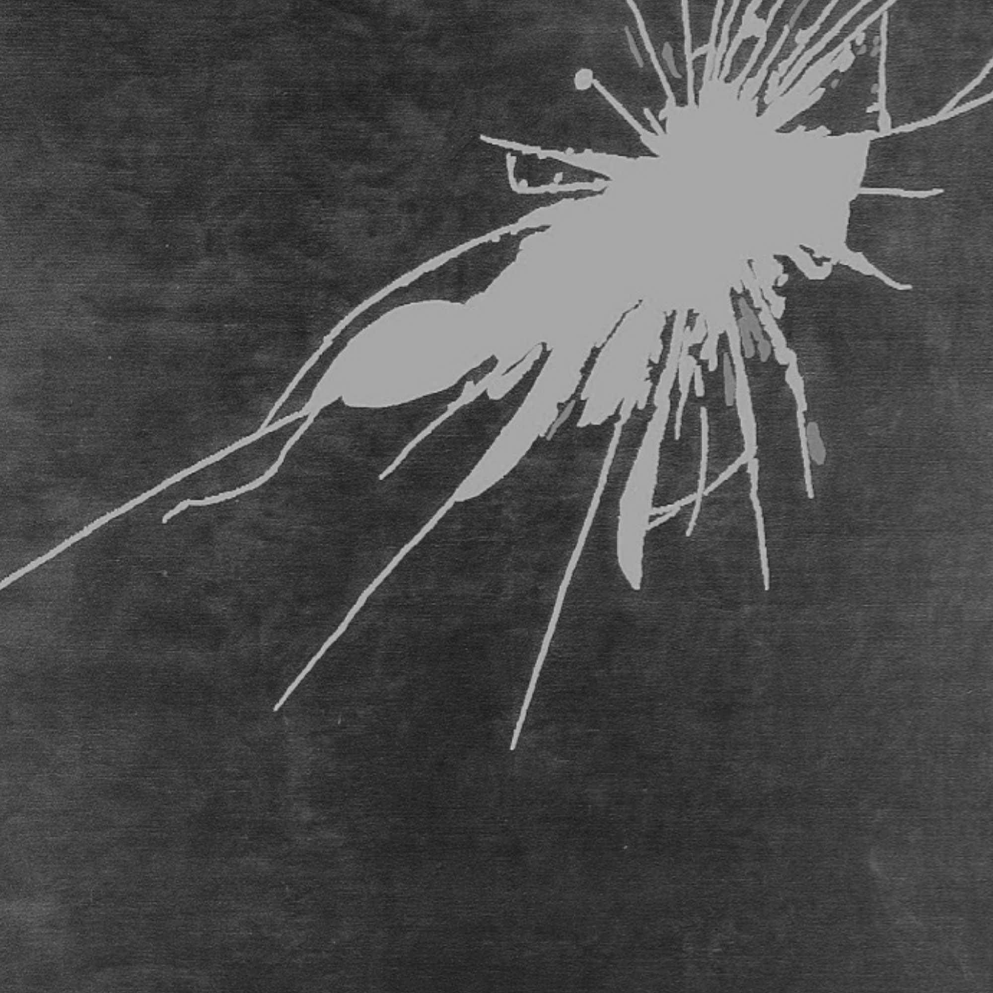 سجادة الكراك - C - 300x200-2