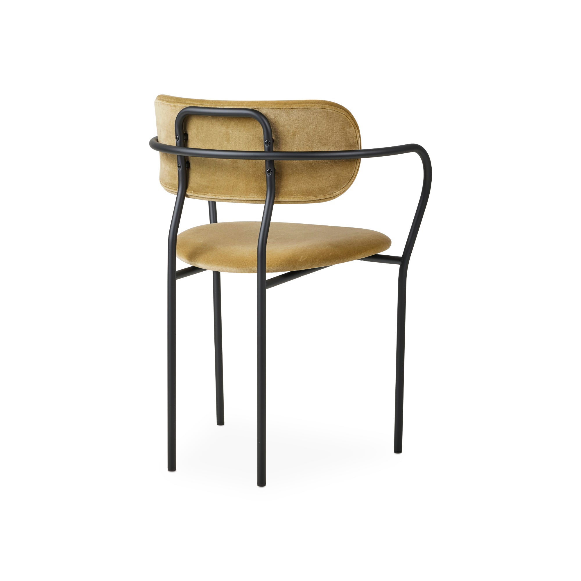 Coco 10526 Dining Chair - Black Matt / Velvet B (Velvet 294 Grey Green)-2