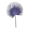 Fan Palm Leaf - Blue