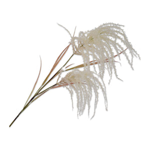 Grass Plume Beige - 137 cm