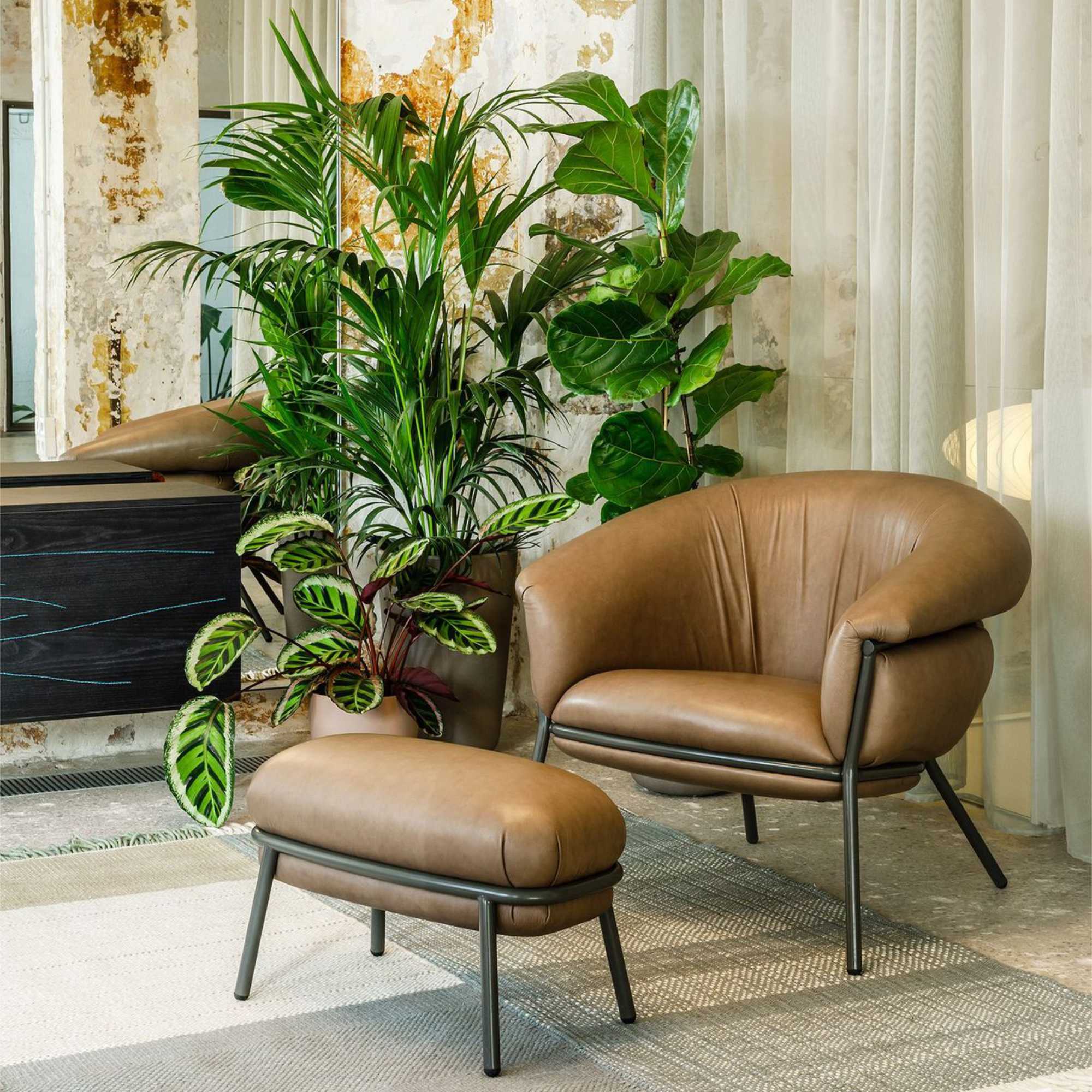 Grasso Armchair - Leather S (Dream Clay S45)-3