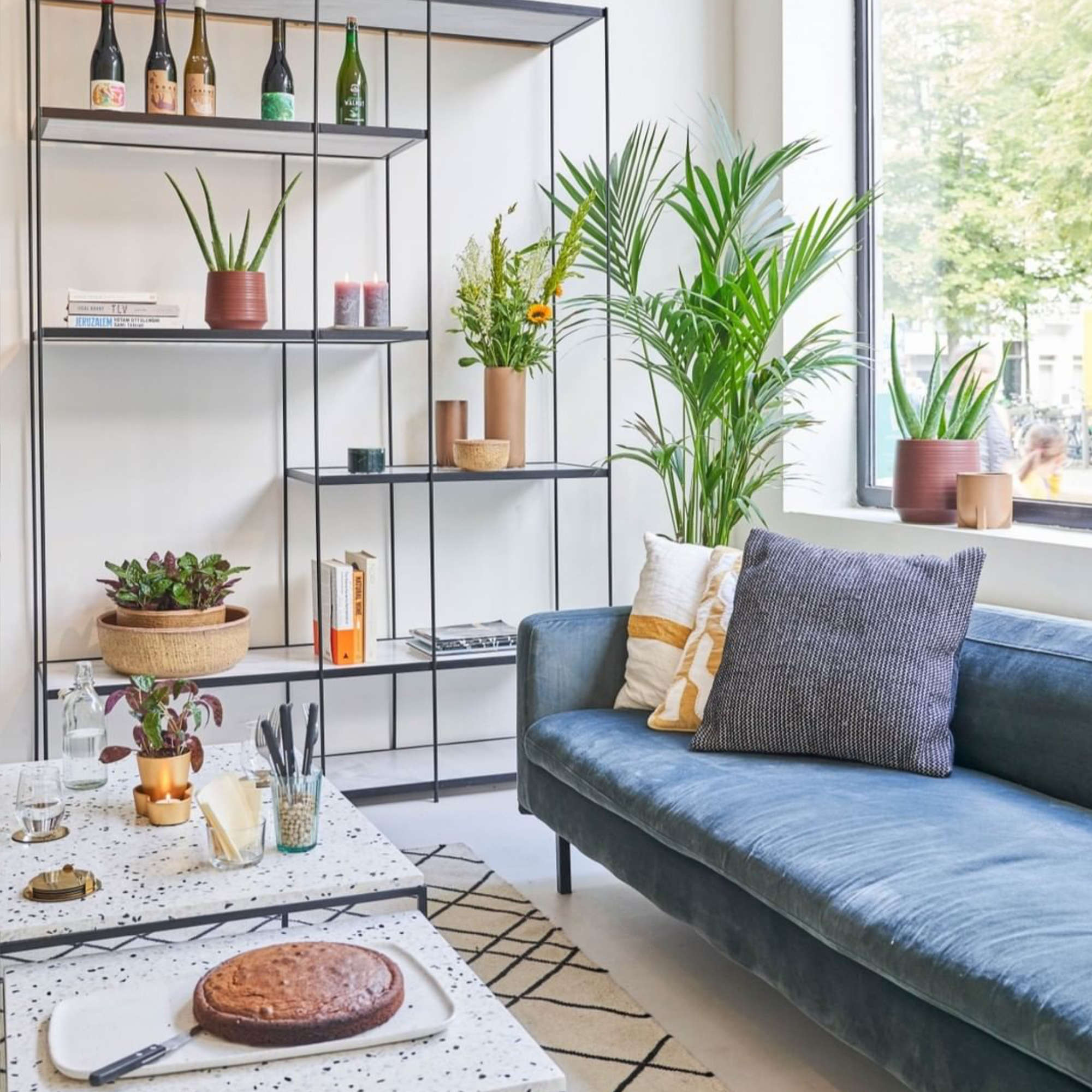 Bubble Pot - Bordeaux - D21-3