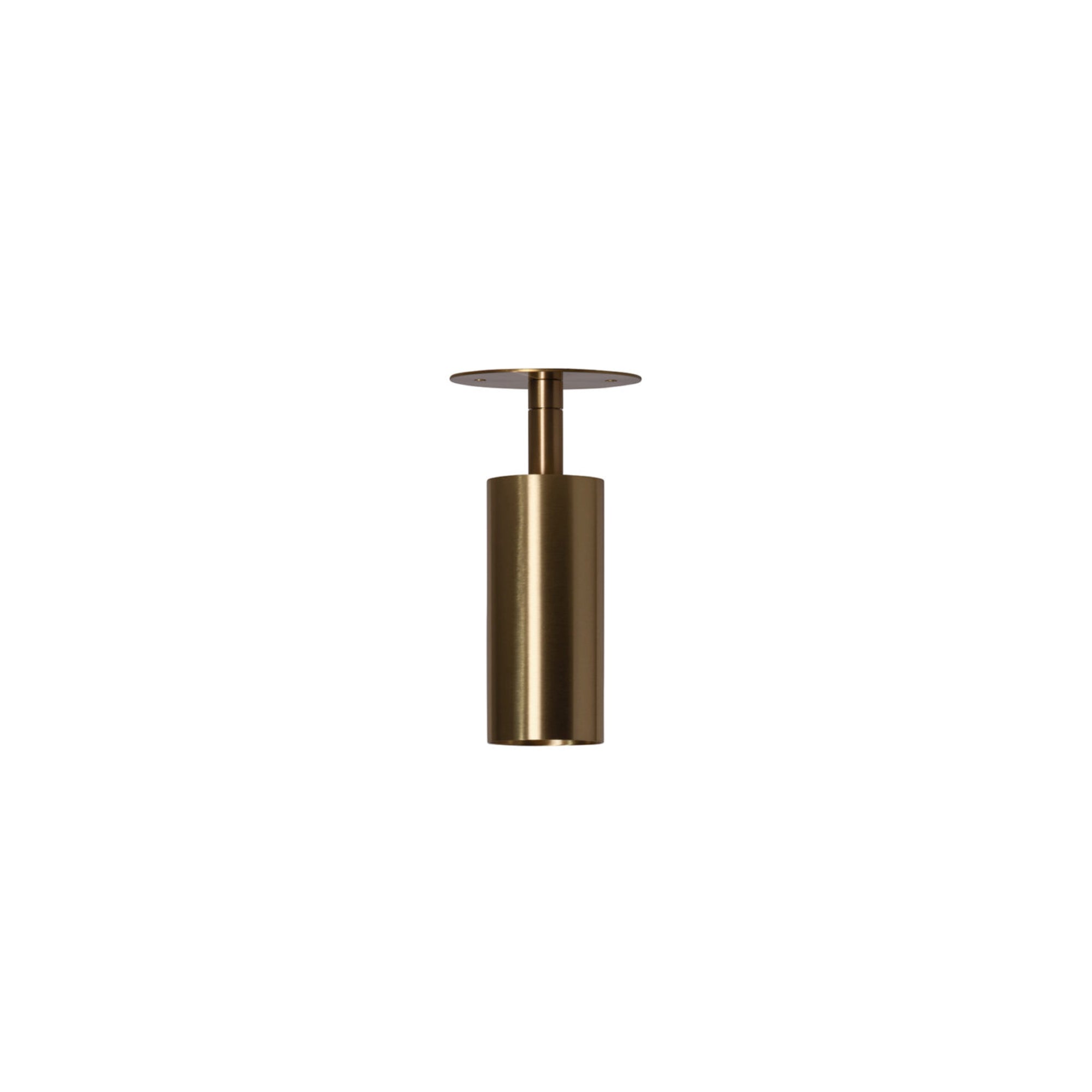 Joey Spot With Plate 165 Wall Lamp - Brass