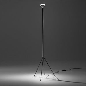 Luminator Floor Lamp - Black