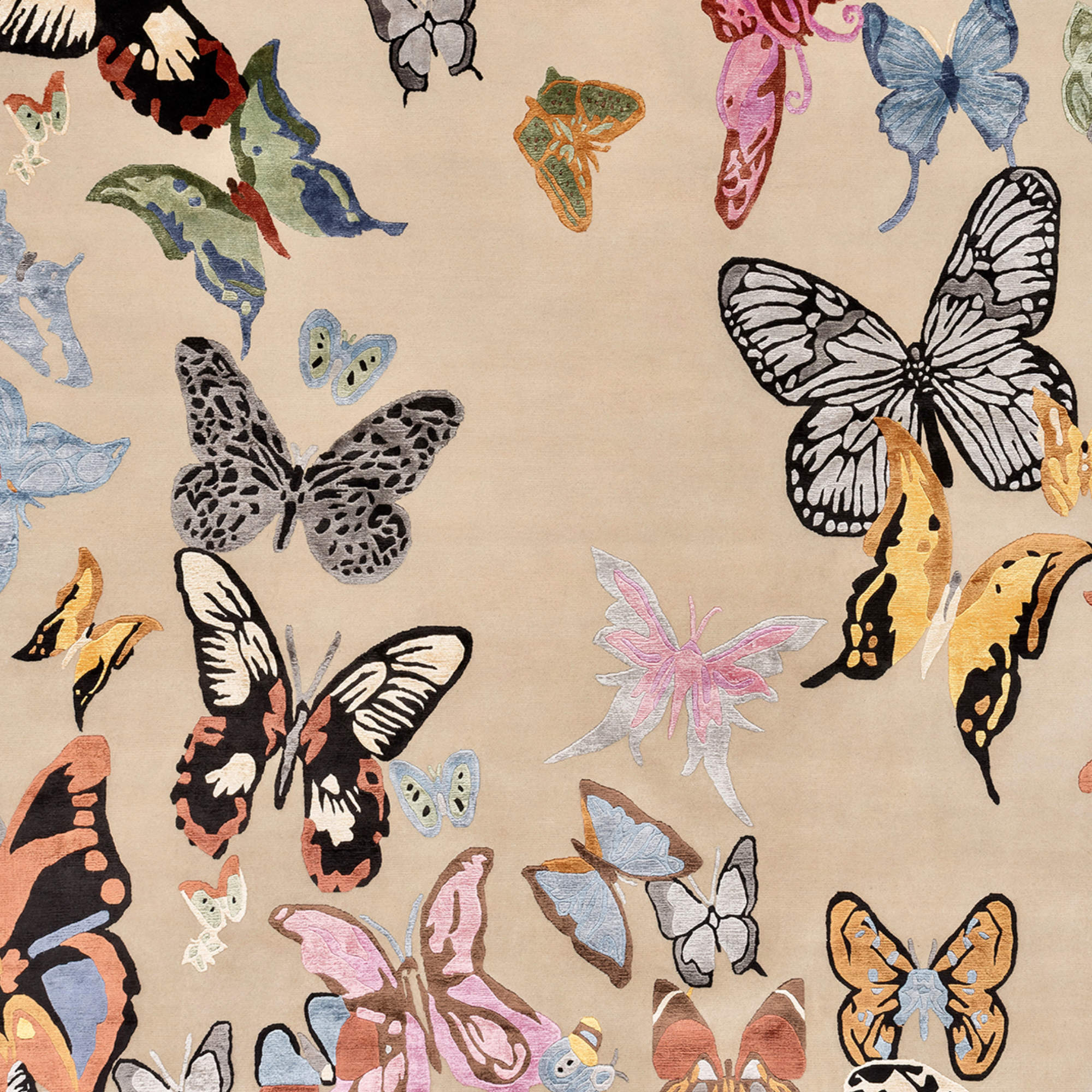 سجادة ماداما الفراشة - أ - 200x150-2