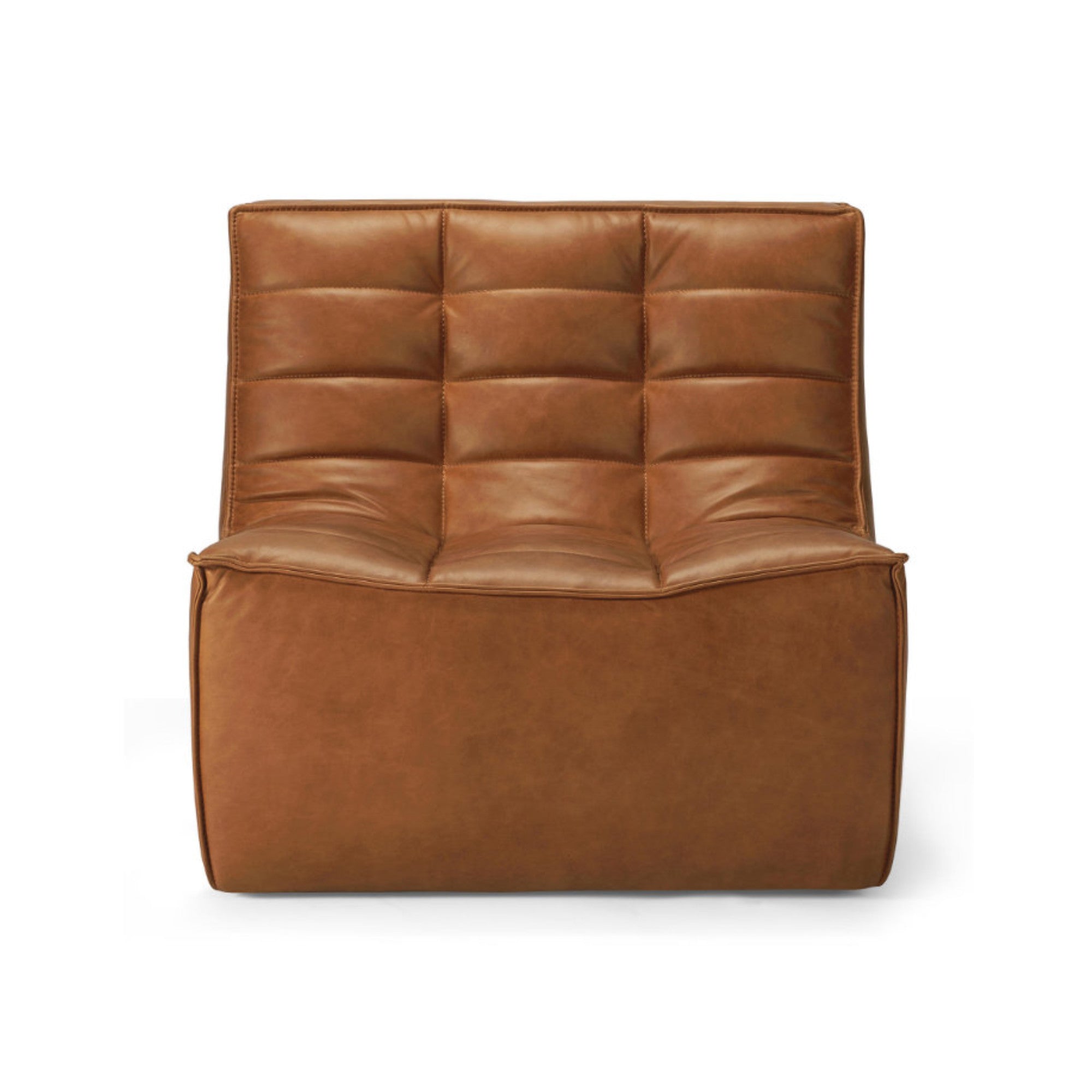 N701 20082 Armchair - Leather (Old Saddle)-1