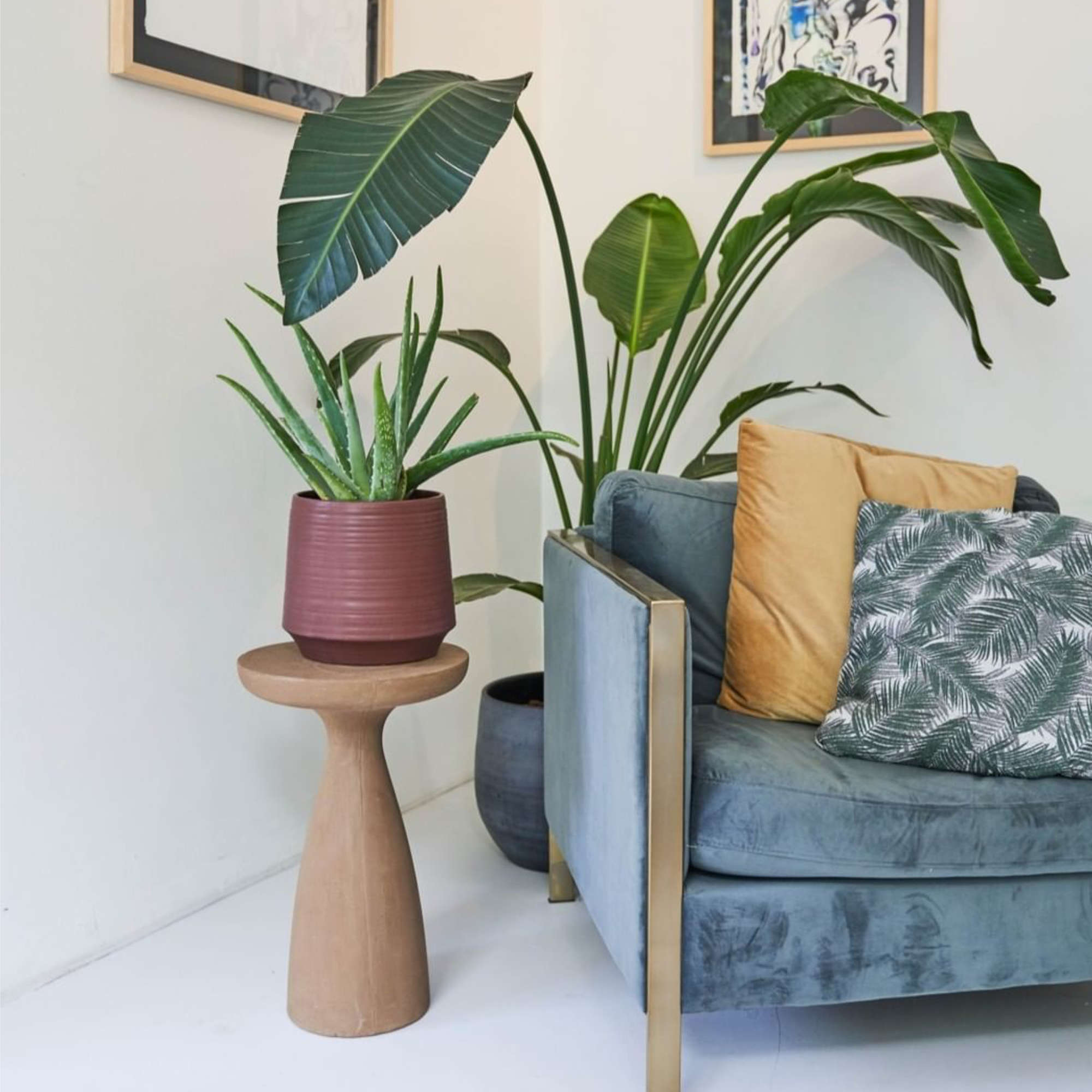 Bubble Pot - Bordeaux - D21-2